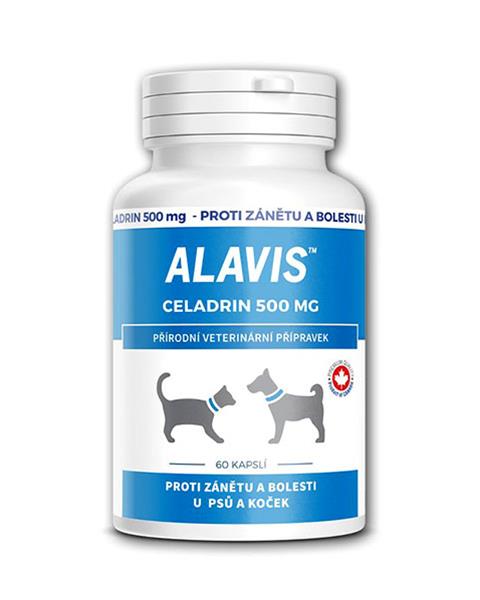 ALAVIS Celadrin 500 mg 60 tbl.