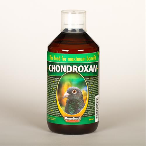 Chondroxan holuby sol. 500 ml